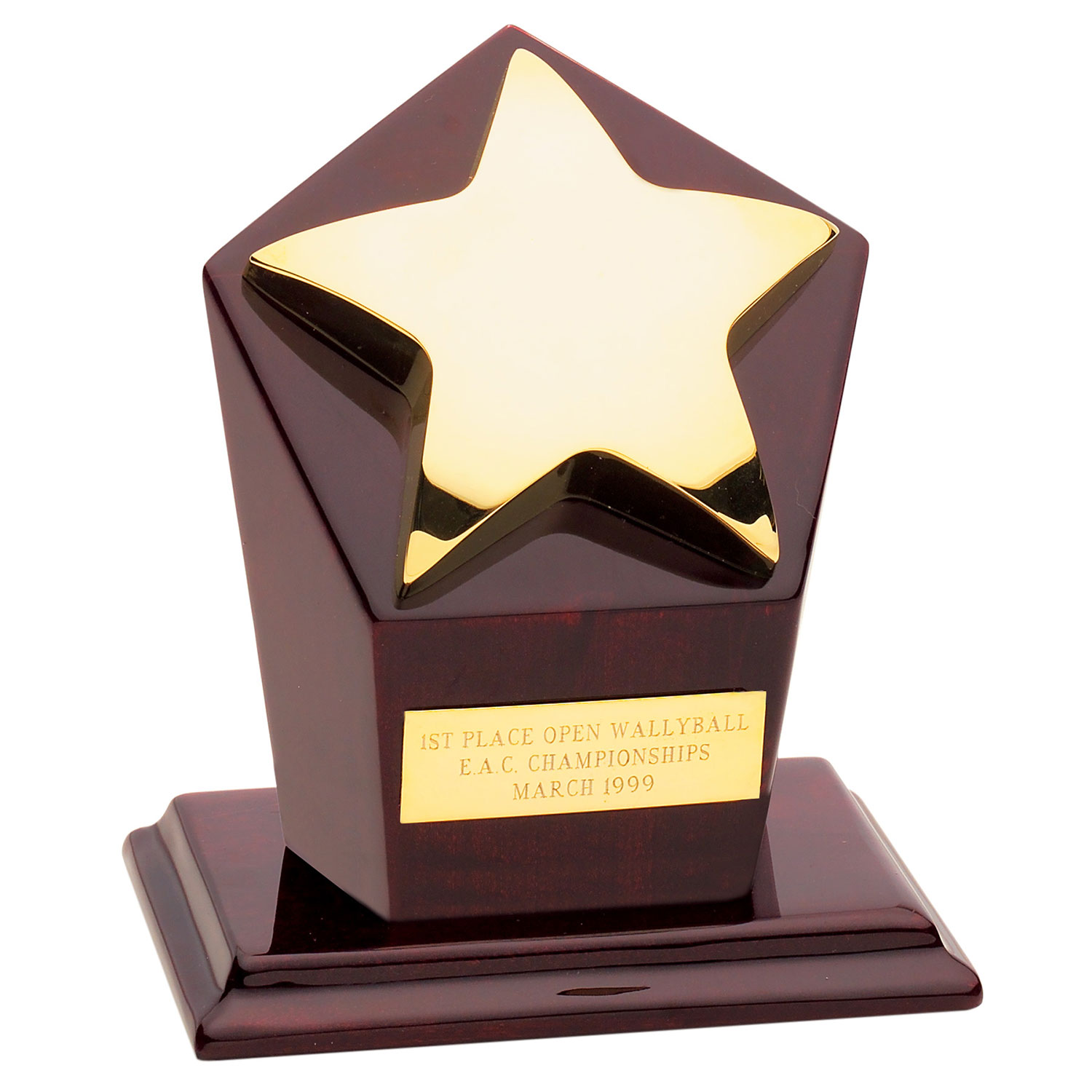 Gold Star Runner-Up Award